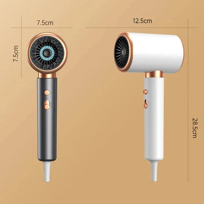 High Speed Hair Dryer 